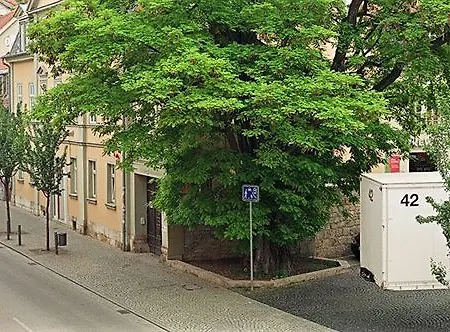 Am Theater
